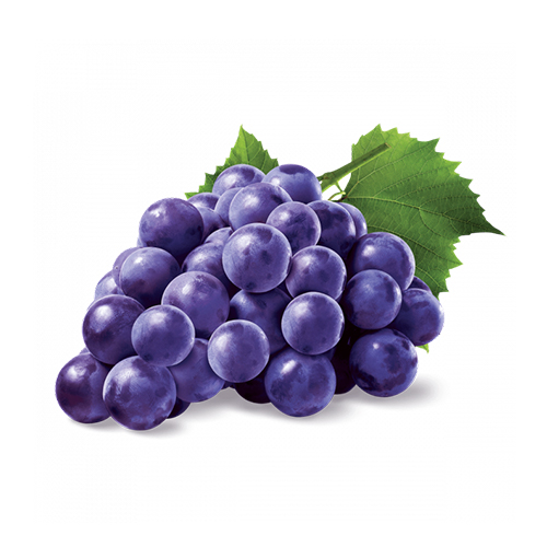 Purple Grape パープルグレープ