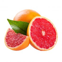 Grapefruit グレープフルーツ