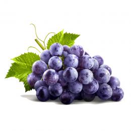 Concord Grape コンコード・グレープ