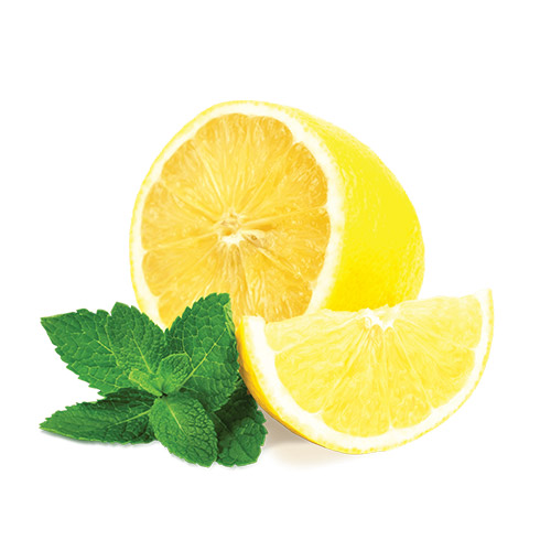 Lemon Mint レモン・ミント